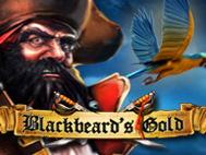 Blackbeard&rsquo;s Gold